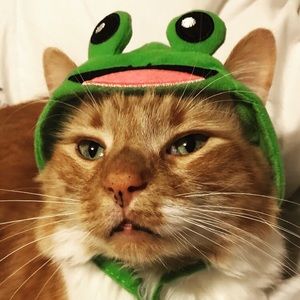 Meet your Posher, Julie